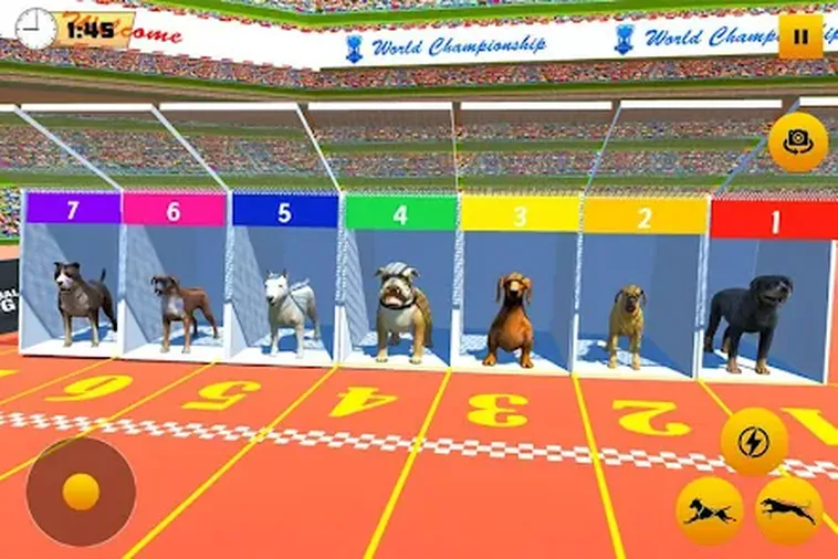 Cách Chơi Game Nhanh Đua Chó 789Club Chi Tiết Mẹo Đặt Kèo Hiệu Quả